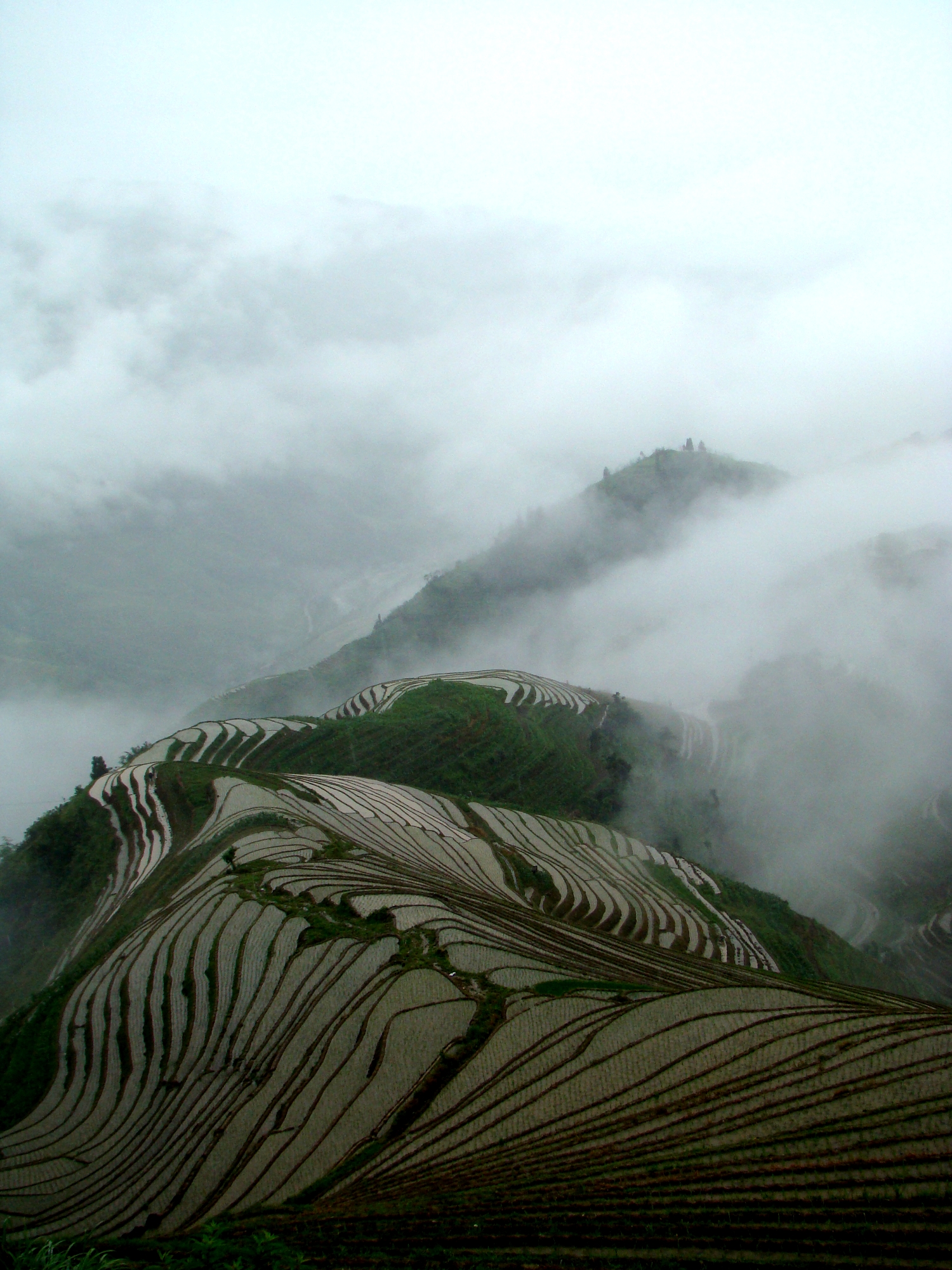 Layered green rice terraces climbing the hills at Longji in Guangxi