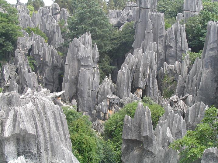 Tall limestone pinnacles and walking paths in the Stone Forest near Kunming