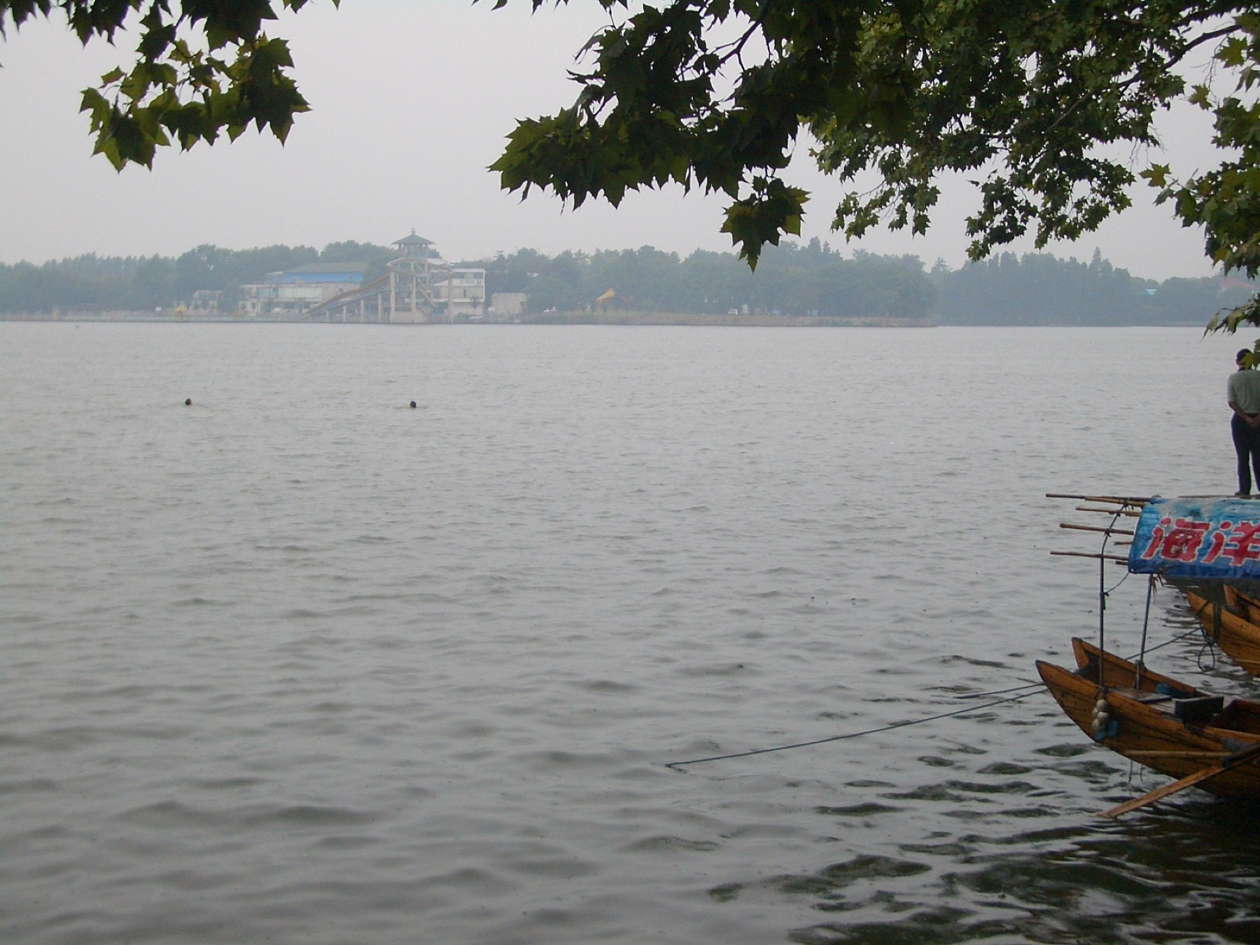 East Lake in Wuhan seen across the water from a green shoreline