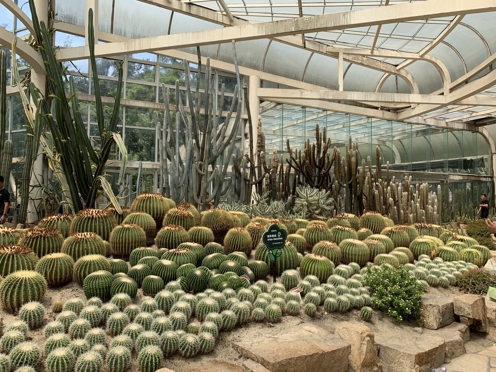 Cacti and desert plants in Xiamen Botanical Garden
