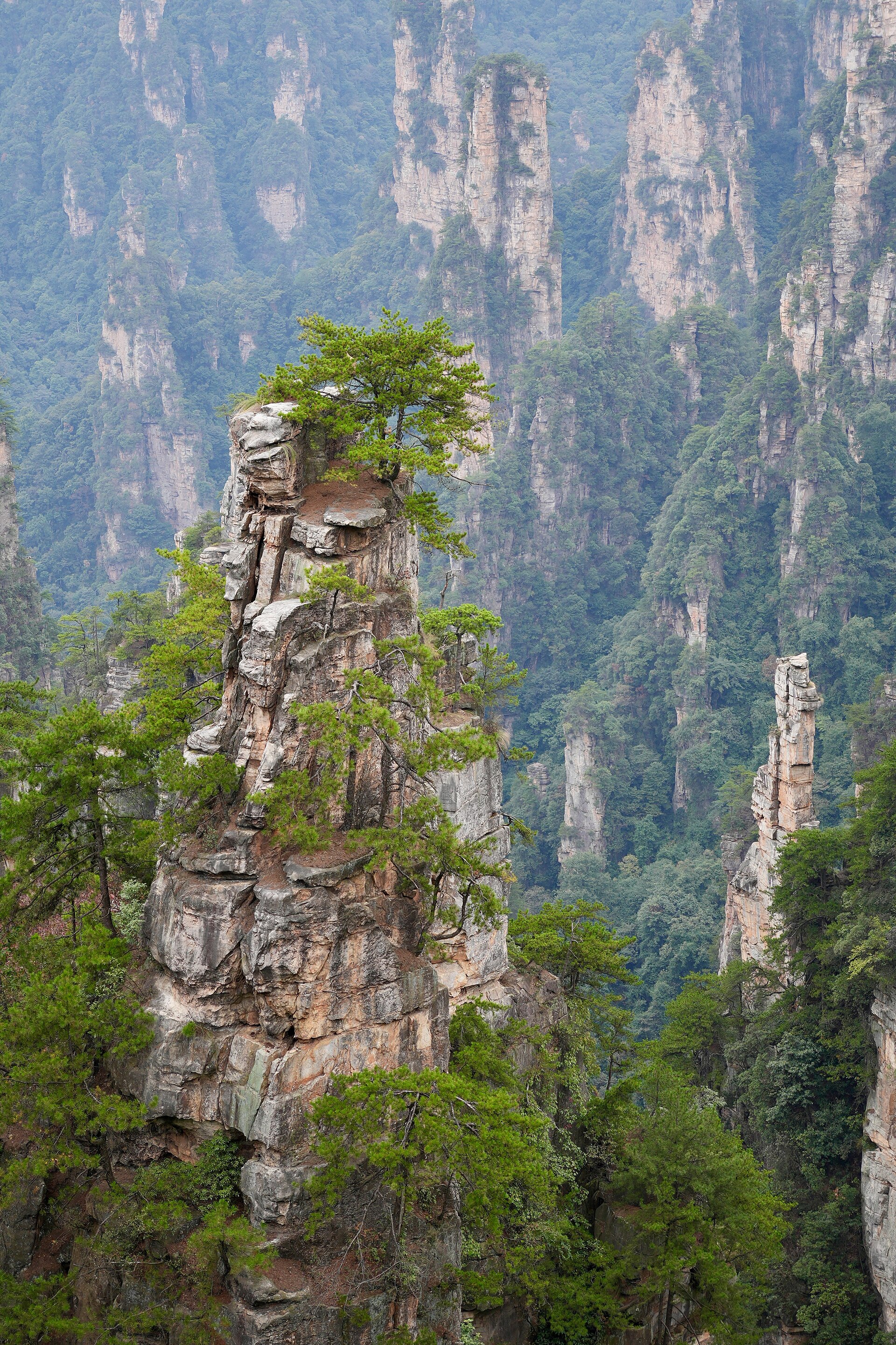 Sandstone spires rising through forest in Zhangjiajie National Forest Park